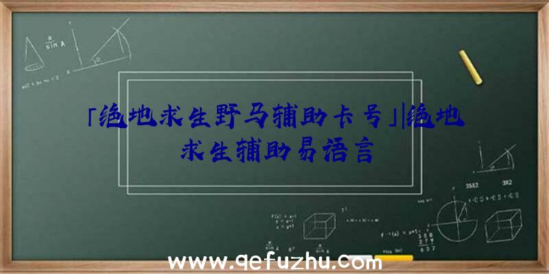 「绝地求生野马辅助卡号」|绝地求生辅助易语言